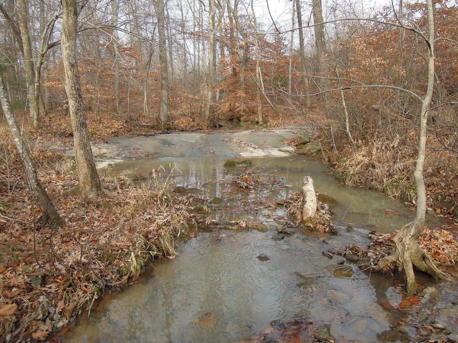 Mebane Rogers Tract