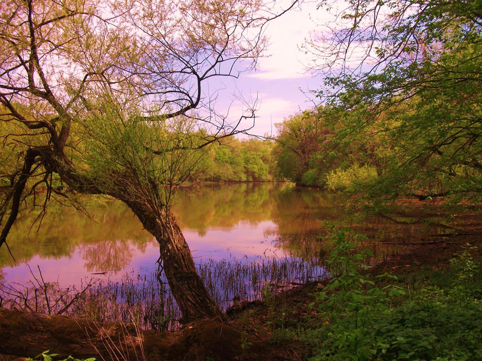 Sinclair's Mill in Nova