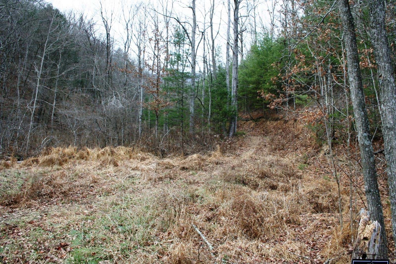 Bear Watch Ridge