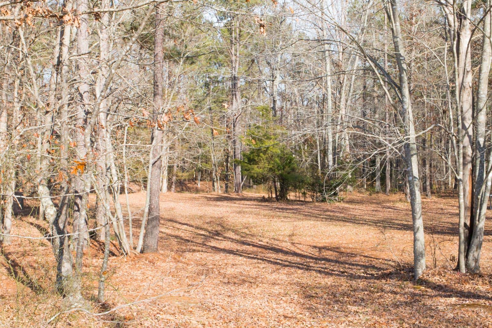 Adenauer Acres
