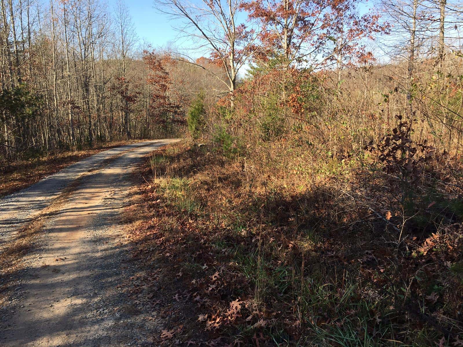 K&J Small Game Hunt