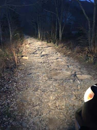 Marshall Hunting in