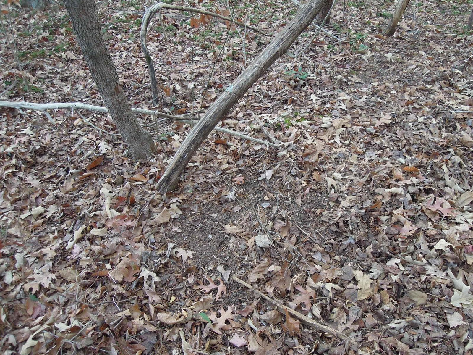 Mebane Rogers Tract - Photo 1