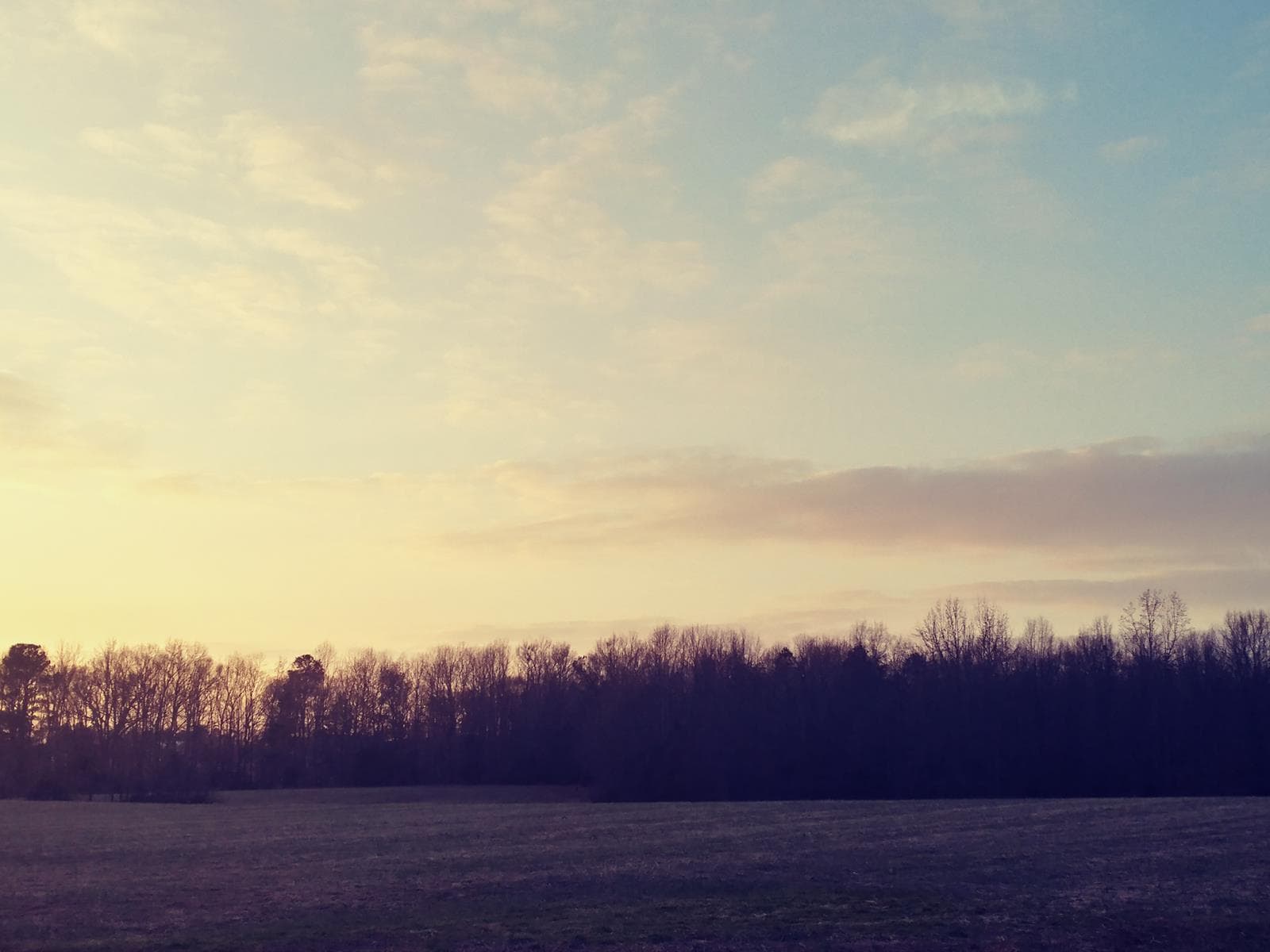 Walker's Retreat - Photo 1