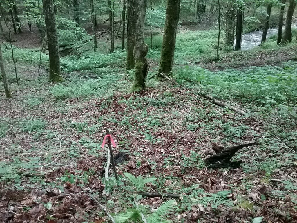 Little River Retreat - Photo 1