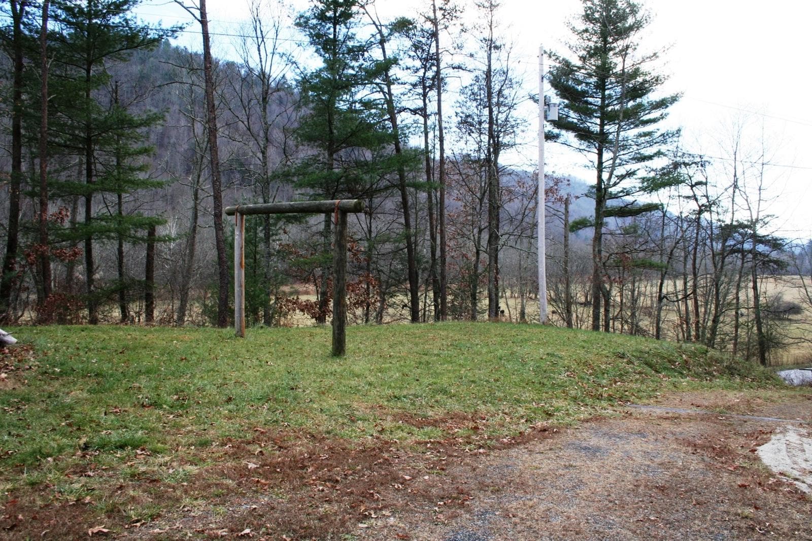 Bear Watch Ridge - Photo 1