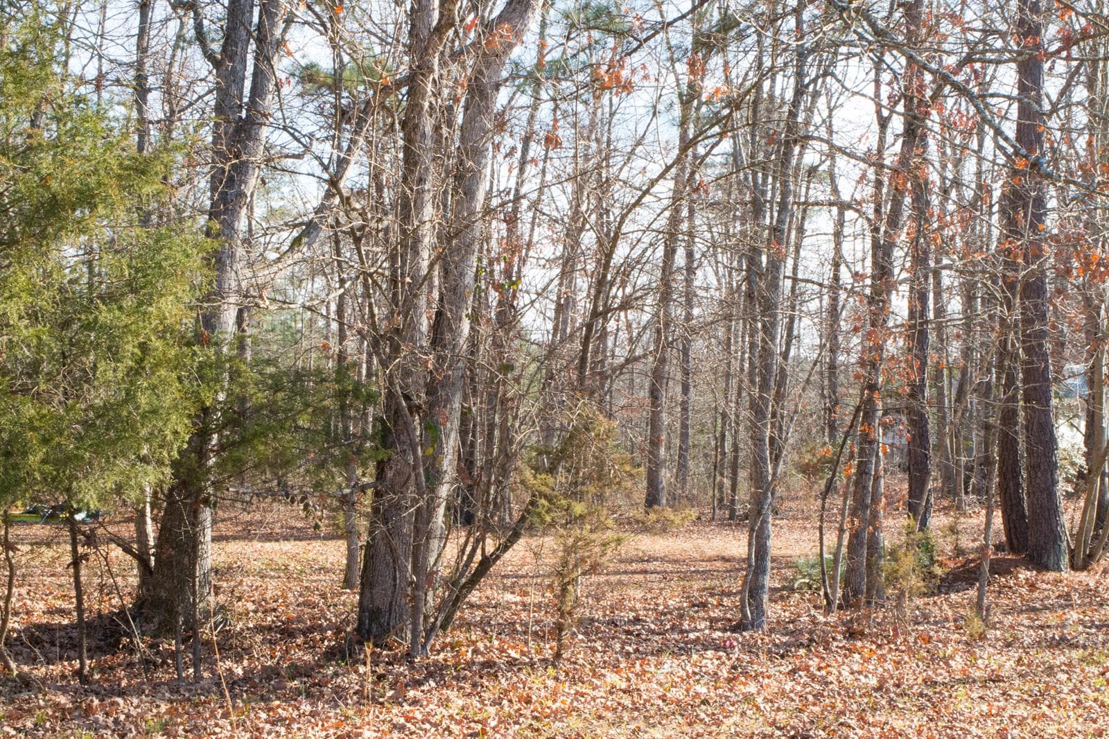 Adenauer Acres - Photo 1