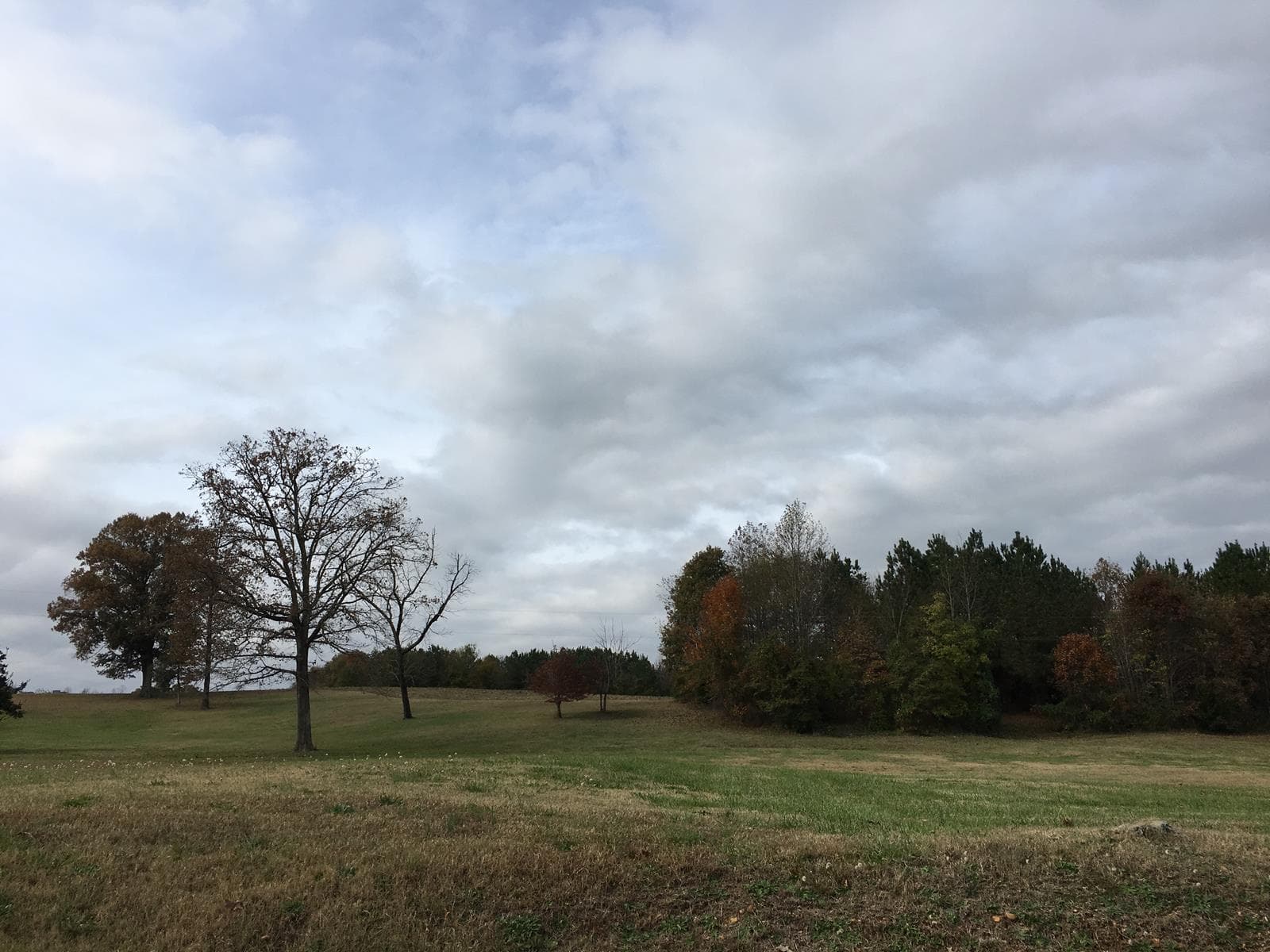 Grant Entire Estate** - Photo 1
