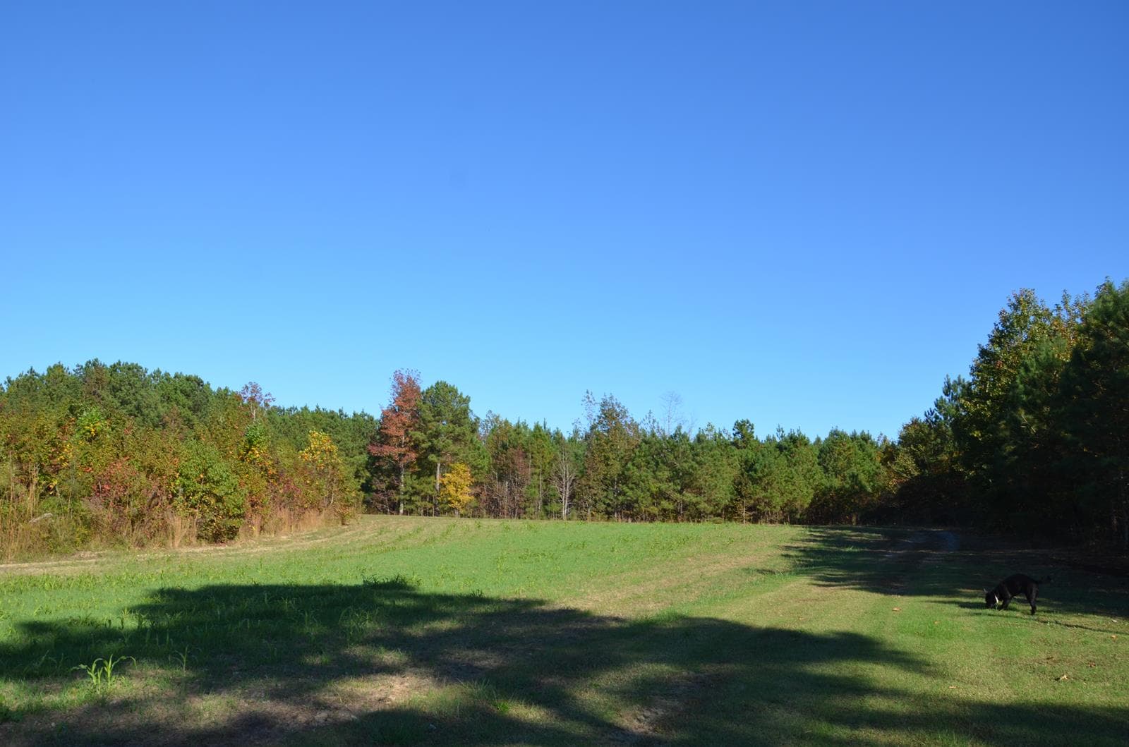 Drungle Farm**** - Photo 1