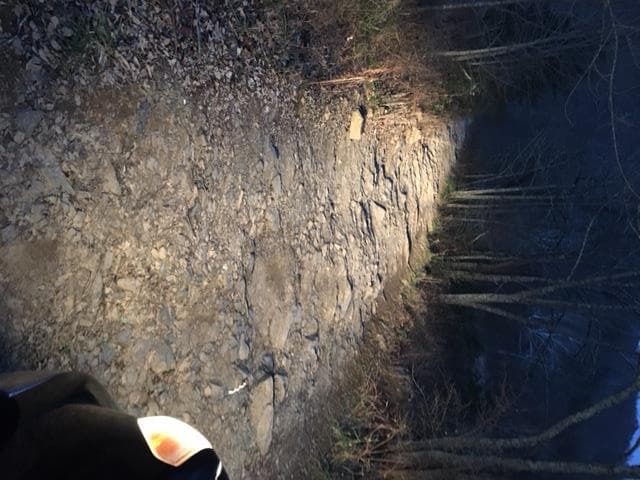Marshall Hunting in Rockbridge - Photo 1