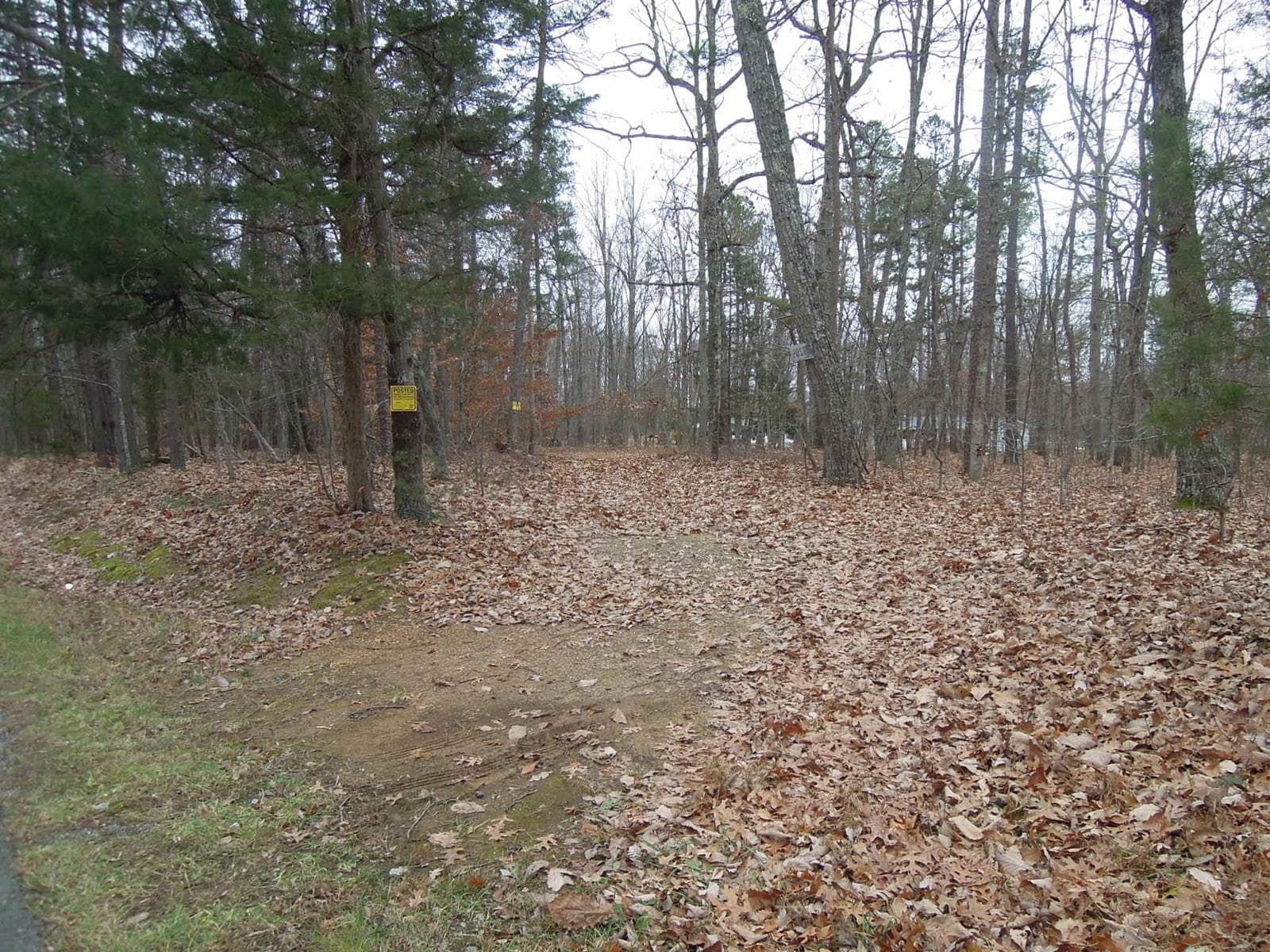 Rural Valley Farm - Photo 1
